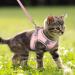 BriFit Cat Dishes & Adjustable Harness - Reflective Outbreak-Proof Soft Vest for Cats & Puppies (Pink XS) | International Shipping Available - Buy Online on GoSupps.com