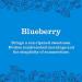 Mrs. MEYER'S Clean Day Blueberry Scent Variety Pack Liquid Hand Soap 12.5 OZ Multi-Surface Cleaner 16 OZ Liquid Dish Soap 16 OZ Room Freshener 8 OZ 1 CT - Buy Online on GoSupps.com