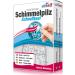 10 Piece Mold Test Kit for Home - Rapid Assessment for Up to 10 Rooms - Mold Infestation Testing Made Easy - Buy Online on GoSupps.com