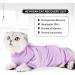 Shop Heywean Katzenbody - Post-Surgery Recovery Shirt for Cats | Long-Sleeved Anti-Trim XS Purple | Ideal After Castration Surgery - Buy Online on GoSupps.com