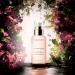 Buy Alchemy Bust Firming Oil 100ml - Premium Breast Care | International Shipping Available - Buy Online on GoSupps.com