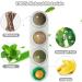 Buy Aucenix Catnip Balls - 4 Natural Dental Toys for Cats & Kittens | Tooth Cleaning & Licking Fun - Buy Online on GoSupps.com
