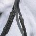 Buy Star WALDHAUSEN Diamond Black Thoroughbred Bridle | Premium Quality International Shipping - Buy Online on GoSupps.com