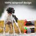 Masbrill Waterproof LED Dog Collar - Luminous Band with 3 Flashing Lights Adjustable Safety for Small Medium and Large Dogs - Orange (M: 38-50cm) - Buy Online on GoSupps.com