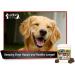 Lively Pets Omega Maxx #1 Fish Oil Supplement for Dogs - High Potency EPA DHA Formula | Small/Medium & Large/Giant Breeds - 60 Soft Chews - Buy Online on GoSupps.com