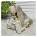Gemstones and Crystals 500-600g Natural Stone and Crystal Specimen Cluster Minerals Point Curative Fengshui Gift Ornments for Home Decorative QINTINYIN ERBDRGAZ