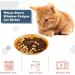 8 Pcs Cat Food Dish Cat Bowls Whisker Fatigue Free Cat Food Bowls Multipurpose Cute Pet Bowl to Relieve Whisker Fatigue for Cats Kittens Puppies Dishwasher Safe (Four color) - Buy Online on GoSupps.com