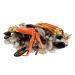 Sea Best Seafood Festival Shrimp and Crab Pot - 3lb | Fresh and Delicious Seafood Mix - Buy Online on GoSupps.com