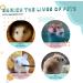Wooden Hamster Toys Platform with Climbing Ladder - Small Animal Cage Accessories Set - Buy Online on GoSupps.com