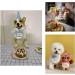Fashion Pet Collar Dog Pet cat birthday hat Dog Birthday Accessories Dog cat pet spit pocket towel Floral Necklace with Hat Dog Birthday Suit Dog Birthday Scarf and Hat - Buy Online on GoSupps.com