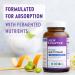 New Chapter Tiny Tabs Multivitamin - 192 Vegan Tablets for Optimal Health - Buy Online on GoSupps.com