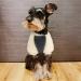 Namsan Dog Sweater for Small Dogs - Winter Fleece Sweater with Pick-Up Design - Warm Gray for Puppies - Buy Online on GoSupps.com