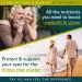 Ultra Eye Care & Support | Complete 12-Ingredient Vision Complex | Bilberry Lutein Zeaxanthin L-Taurine Vitamin A C E Zinc + 4 More | 60 Vegan Capsules - Buy Online on GoSupps.com