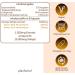 270 Pure Shilajit Capsules - 1500mg Daily Dose | 15 000mg Mumijo Extract | 50% Fluvic Acid & 12% Humic Acid | 90 Portions in 135g Can - Buy Online on GoSupps.com