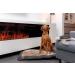 Trixie Zug-Stop Hundehalband Be Nordic L-XL Sand/Black | Comfortable & Elegant Dog Collar for Large Dogs - Robust Design 17294 - Buy Online on GoSupps.com