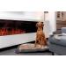 Trixie Zug-Stop Hundehalband BE Nordic XS-S | Comfortable Black Dog Collar for Small Breeds | Robust & Elegant Train Limitation 17304 Sand/Black - Buy Online on GoSupps.com