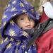 BundleBean Babywearing Fleece Lined Cover - Waterproof Sling and Carrier Cover (Gold Bees) - Buy Online on GoSupps.com
