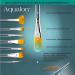 Aqualon 243921 Filbert Brush Set - 7 Pack - Buy Online on GoSupps.com