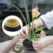 Japanese Flower Pin Holder Set - 3 Sizes (0.91, 1.34, 1.81) for Floral Arrangement and Decoration - Buy Online on GoSupps.com