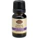 Fabulous Frannie Lavender 100% Pure Undiluted Essential Oil 10ml (Pack of 1)