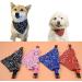Dog Narrow Bandana Set - Taozoey 3 PCs Triangle Pet Scarves for Small & Medium Dogs and Cats - Buy Online on GoSupps.com