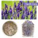 Buy 100% Pure Natural Dried Lavender Tea - Premium Lavender Buds 50g for Baking & Baths - Buy Online on GoSupps.com