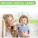 Silicone Infant Toothbrush | BPA-Free | Safe for 6-36 Months | Soft Bristles | Choke Protection | First Teeth Care | Toddler Suction Cup (Green) - Buy Online on GoSupps.com