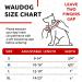 Shop Waudog Adjustable Nylon Dog Collar - Ethno Blue for Large & Medium Dogs (31-49 cm 25 mm Width) | Durable & Stylish Neck Band - Buy Online on GoSupps.com