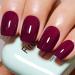 Wine Red Gel Nail Polish 16ML Jelly Purple Red Cherry Color UV/LED Soak Off Neutral Plum Gel Polish for Winter Spring 1Pcs B-Mulled Wine
