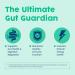 NativePath Complete Synbiotic - Pre Pro & Postbiotic 3-in-1 for Gut Health & Digestive Support - 10 Billion CFU 30 Servings - Buy Online on GoSupps.com