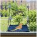 YUYUSO Reptile Window Hammock Bearded Dragon Hammock Swing Hanging Bed Reptile Sunbathe Hammock for Bearded Dragon Leopard Gecko Lizard