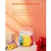 Rose Candle - 2 Wick Soy Wax 80-Hour Burn Time Extra Strong Scent | Aromatherapy Gifts for Women - Rose & Amber Musk 12oz - Buy Online on GoSupps.com