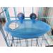 Mirrored Bird Bath for Small Parrots & Parakeets - Bathtub Shower Accessories 7.4x3.9x1.4inch - Buy Online on GoSupps.com