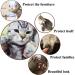 VICTHY 100 PCS Soft Pet Cat Nail Caps + Adhesive Glue & Applicators - Medium Size - Buy Online on GoSupps.com