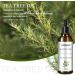 Buy Chaies Tea Tree Oil for Skin & Hair | 100ml Moisturizing Natural Essential Oil - Hair Repair & Thickening - Buy Online on GoSupps.com