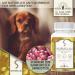 Buy Adema Animal Wurmolan - Natural Worm Cure for Dogs Cats & Rodents | 30 Pressing Content - Effective Before During & After Infestation - Buy Online on GoSupps.com