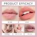 Lip Balm Bulk Gifts for Women 4 Pack Christmas Lip Care Set with 4 Festive Flavors Holiday Stocking Stuffers for Her Friends Employees Party Favors (3 Set) - Buy Online on GoSupps.com