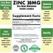 SPEC Zinc 30mg - Highly Absorbable BioAvailable Antioxidant Vitamin Supplement for Men & Women - 120 Veg Capsules (4 Months Supply) - Buy Online on GoSupps.com