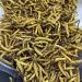 Cordyceps Sinensis Chongcao (3g) - Buy Online on GoSupps.com