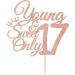 Young and Sweet Only 17 Cake Topper Dancing Queen 17 17th Birthday Cake Decor Happy 17th Birthday Party Decorations Rose Gold Glitter - Buy Online on GoSupps.com