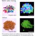220 Multi-Colored Fluorescent Stones for Garden & Aquarium | Bright Glowing Decorative Stones for Pathways Flower Beds and More - Buy Online on GoSupps.com