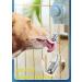 Deyace Stainless Steel Dog Crate Water Bottle 24oz - Leak-Proof Ball Top Fill Dispenser for Cage - Dark Blue - Buy Online on GoSupps.com