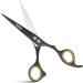Ramaz Professional Hair Cutting Scissors Set - Extra Sharp 6.5 Stainless Steel Shears with Comb & Clips for Perfect Haircuts - Ideal for Men & Women - Buy Online on GoSupps.com
