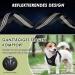 Slowton Dog Harness with Safety Belt for Car - Breathable Latex Puppy Harness Regular Safety Harness for Everyday Sports (Black XXS) - Buy Online on GoSupps.com