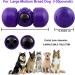 Leipple Interactive Dog Toy for Large Dogs - Rolling Treat Dispenser & Puzzle Toy - Durable Slow Feeder for IQ Improvement & Boredom Reduction - Medium to Large Dogs (Purple) - Buy Online on GoSupps.com