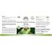 Garcinia Cambogia Extract 500mg - 100 Vegan Capsules | 60% HCA | High Dose | Herbadirekt by Warnke Vital - German Pharmacy Quality - Buy Online on GoSupps.com