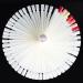 BNG Nail Color Wheel Display 120pcs - Professional Fan-shaped Nail Art Polish Chart with Spiral Stand - Salon Quality Nail Display Tips - Buy Online on GoSupps.com