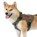 OneTigris Fire Watcher 2.0 Molle dog harness with handle and metal buckle M green