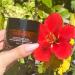 Sahajan Ultimate Sleep Mask - Ayurvedic Deep Hydration Anti-Aging Face Mask for Wrinkles Fine Lines & Redness (1.7oz) - Soothing & Firming with Cassia Angustifolia & Gotu Kola - Buy Online on GoSupps.com