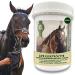 Electrolyte powder plus amino acids for horses i 100% naturally i electrolyte powder with vitamins amino energy magnesium i hydrates to support performance & regeneration after sport training 700G